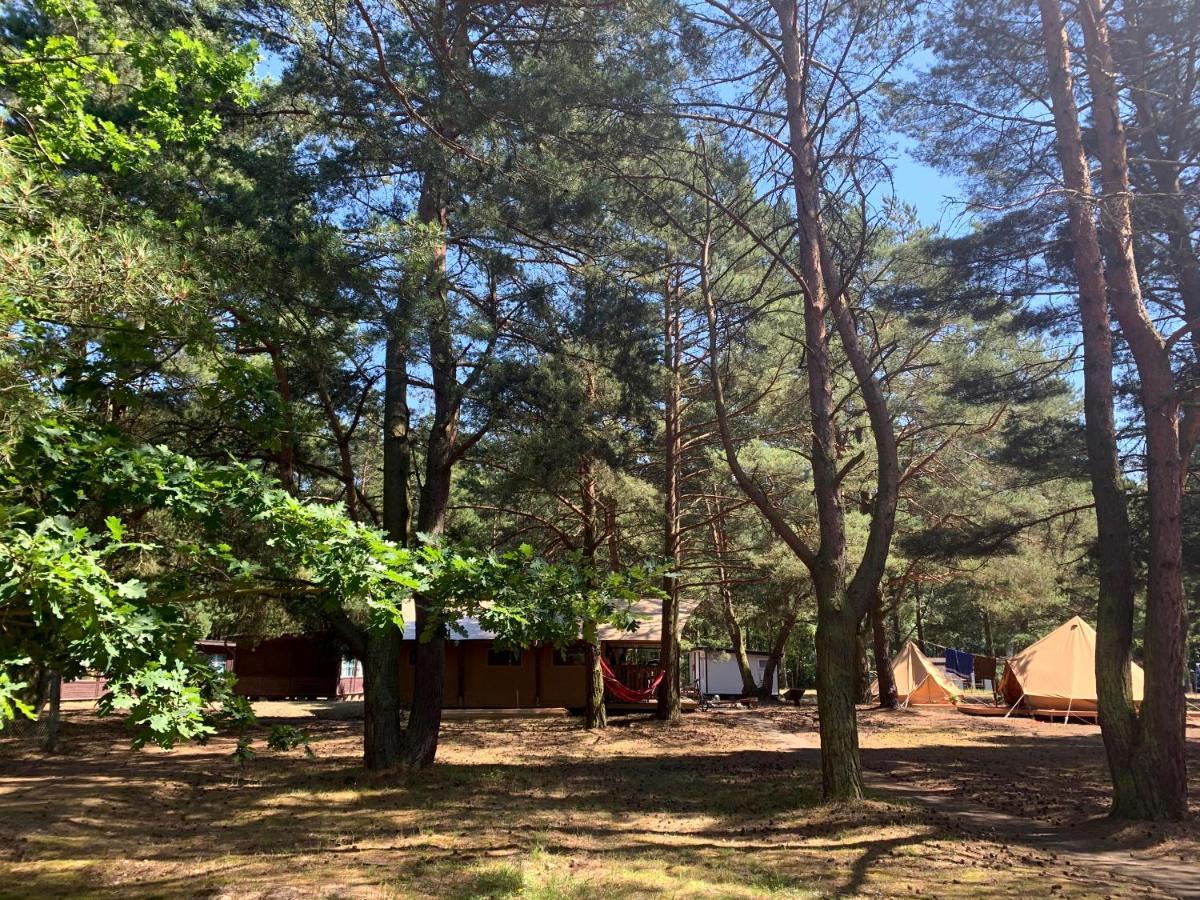 Camp Bursztynowy Las Гданьск Экстерьер фото