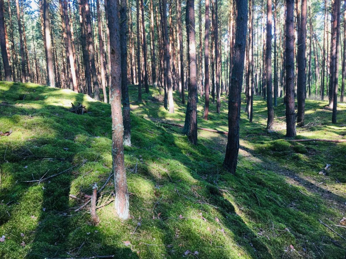 Camp Bursztynowy Las Гданьск Экстерьер фото